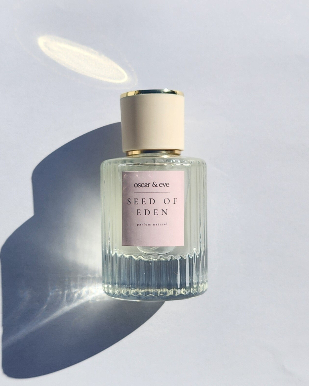 seed of eden | nutmeg, oakmoss, pink pepper, vetiver, ylang ylang, sandalwood & vanilla | eau de parfum spray 50ml + FREE 10ML EDP