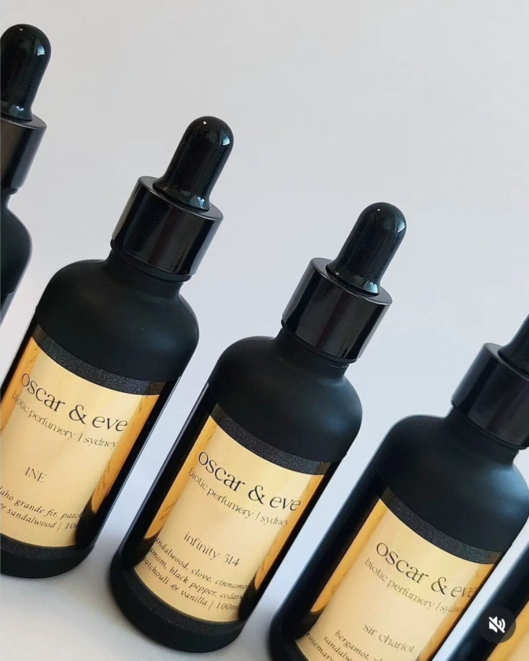 His Perfume Oil Set | FREE SHIPPING