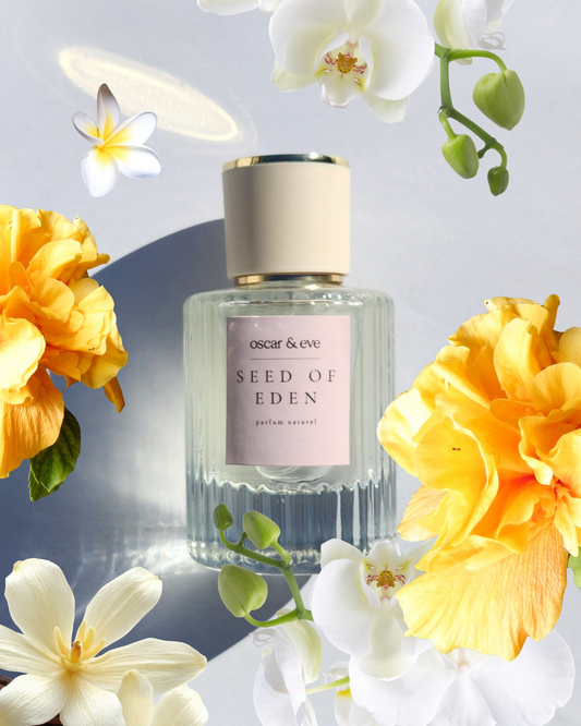 seed of eden | nutmeg, oakmoss, pink pepper, vetiver, ylang ylang, sandalwood & vanilla | eau de parfum spray 50ml + FREE 10ML EDP