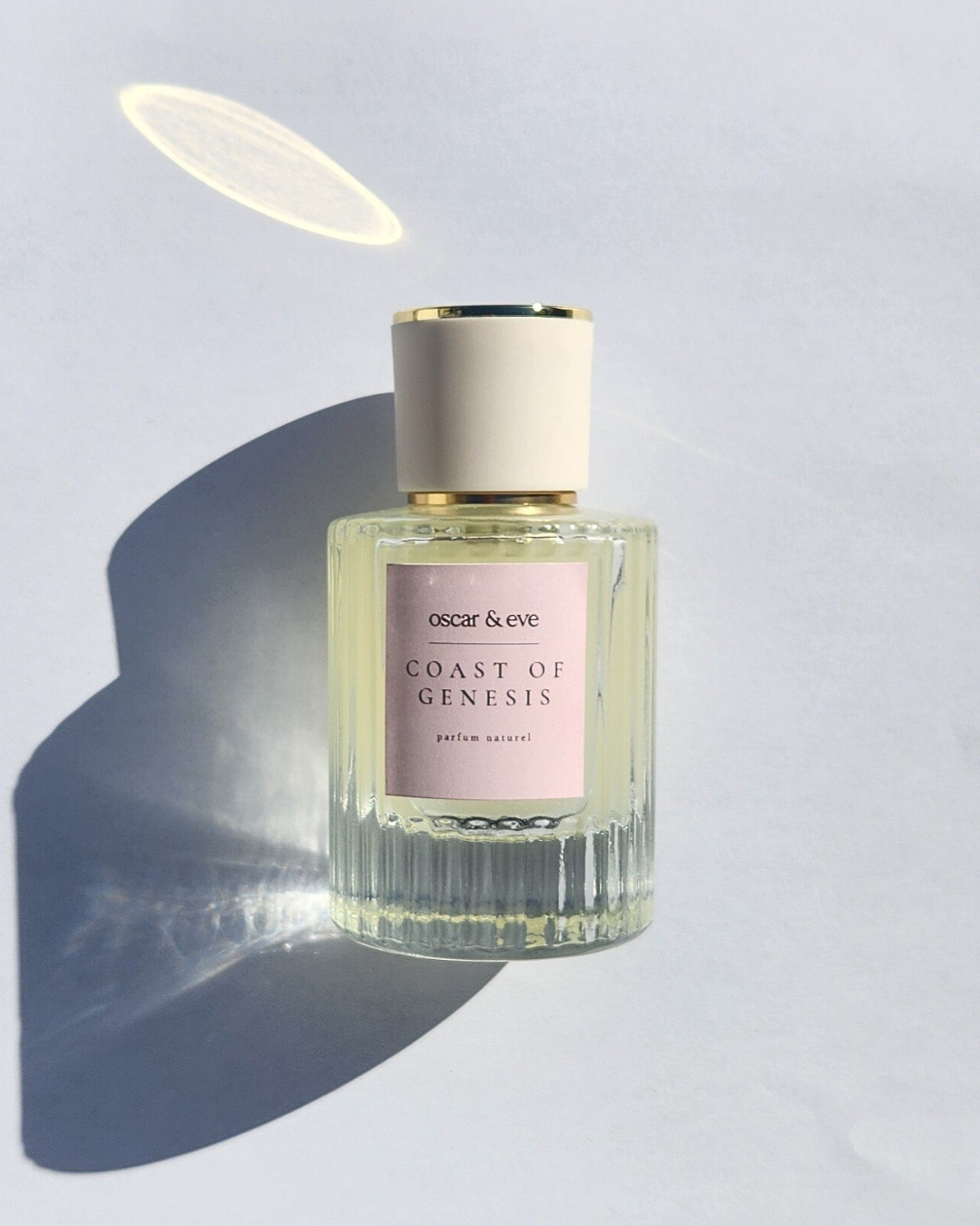 coast of genesis |  clove, pink pepper, rose, violet leaf, nutmeg, cedarwood, oud | eau de parfum 50ml + FREE 10ML EDP